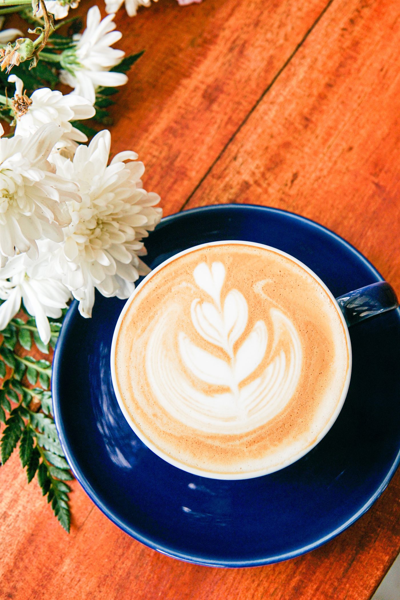 Caffe Latte Cikole
